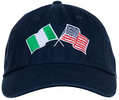 Image of Ann Arbor T-shirt Co. American Friendship Nations Flag Baseball Low Profile Dad Hat for Men Women