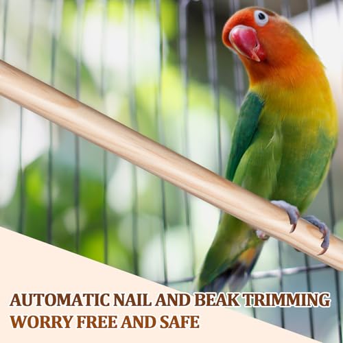 Image of Sintuff 4 Pcs Bird Perches for Cage Accessories, Wooden Perch Rods Replacement with Double Head Slots, 0.6 Inch Diameter Natural Wood Stand for Parrot Macaw Cockatoo Parakeet (24 Inches)