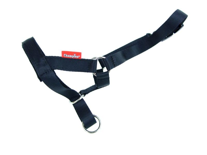 Kerbl 2713 Kopfhalfter für Schafe und Böcke aus Nylon - Hommel Onlineshop Kerbl 2713 Kopfhalfter für Schafe und Böcke aus Nylon - Hommel Onlineshop