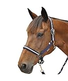 Nylon Set licol Nylon/Lurex + Longe CANTER (Poney, Marine/blanc/or)