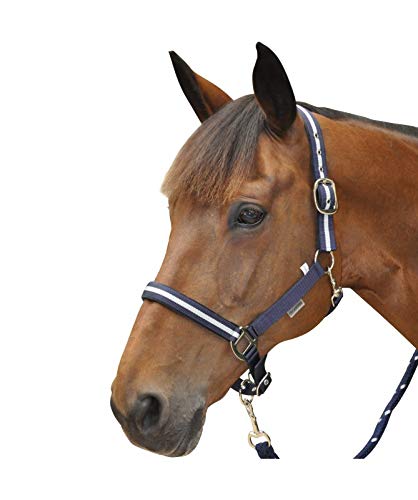 Set licol Nylon/Lurex + Longe CANTER l'élégance noire et argentée Full