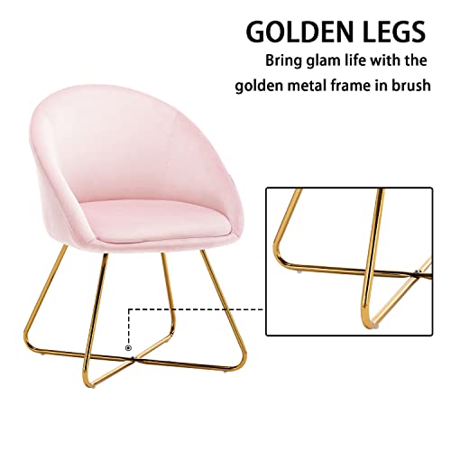 Altrobene Velvet Accent Chair, Modern Kitchen Dining Chairs, Living Room Bedroom Armchair, Home Office Reception Chair, Set Of 2, Golden Finished, Pink #TOP6