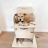 Bailey Chair for Dogs with Megaesophagus (Extra Small)