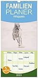 Familienplaner Whippet 2023 (Wandkalender 2023, 21 cm x 45 cm, hoch), Calvendo Monatskalender