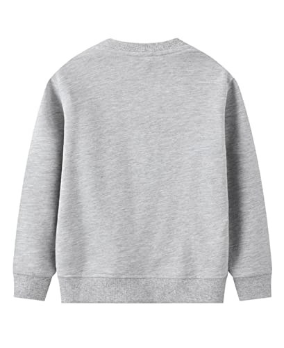 Loktarc 2 Pack Toddler Boys Sweatshirts Patterned Long Sleeve Pullover Crewneck Tops Shirts Green Dinosaur + Grey Dinosaur 4-5 Years/Size 5T #TOP3