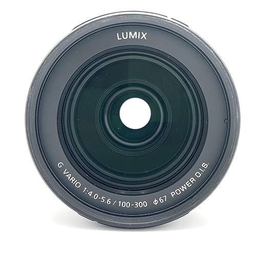 Panasonic Lumix G Vario 100-300mm F4.0-5.6 II Super