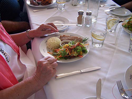 Portion Perfection Porcelain Portion Control Plate 10” For Weight Loss, Diabetes & Healthier Diets | Weight Control Plate For Women, Men & Children | Diabetic Plate For Portion Size Dishes #TOP7