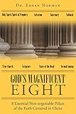God's Magnificent Eight: 8 Essential Non-negotiable Pillars of the Faith Centered in Christ