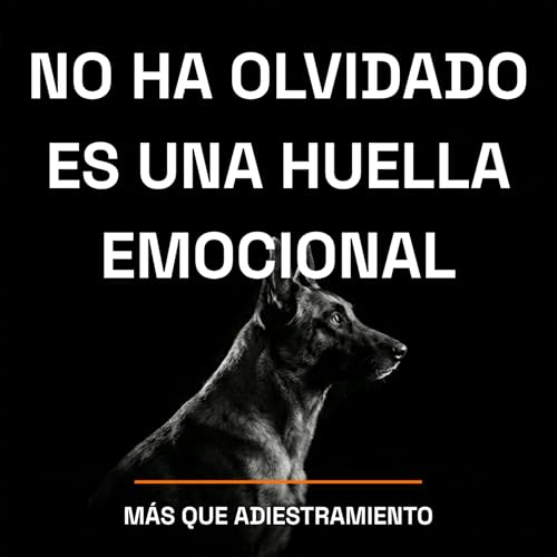 4.21 Tu perro no ha olvidado lo que aprendi&oacute; &mdash; es una huella emocional (y tiene soluci&oacute;n)