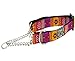 RC Pet Products 3/4-Inch Training Martingale Collar, Medium, Trendy Mehndi