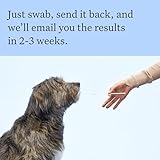 Wisdom Panel Breed Discovery Dog DNA Kit: Most Accurate Dog Breed Identification, Test for 365+ Breeds, MDR1 Health Test, Ancestry, Relatives - Image 6