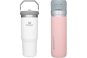 Stanley IceFlow Insulated Stainless Steel Tumbler & GO Quick Flip Straw