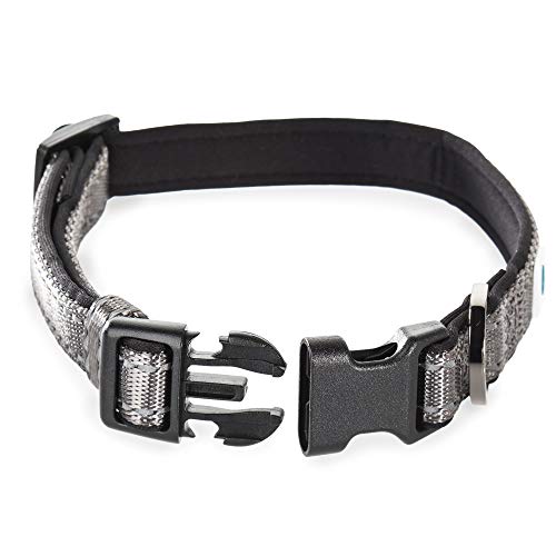 Embark Adventure Dog Collar with Soft Padded Neck, Matching Set with The Adventure Leash and Harness, Pet Collars for Dogs & Most Breeds (Medium, Black)