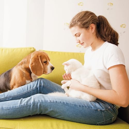 beaphar No Stress - Hund & Katze - 20 Tabletten