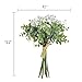 Baby Plum Babys Breath Artificial Flowers Bouquet,Total of 6 Baby Breath Flowers and 6 Silver Dollar Eucalyptus Artificial Flowers for Home Office Indoor Outdoor Wedding Aisle Decoration(White)