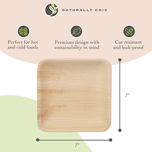 Wooden Disposable Plates 50-Pack - Biodegradable and Compostable - Square Plates for Appetizers and Dinner - Eco-Friendly Party Pack