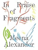 In Praise of Fragments