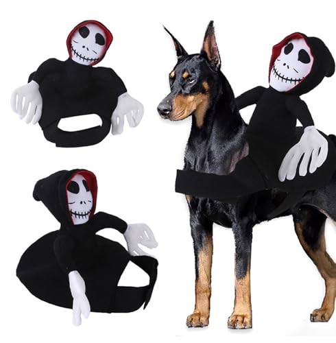 Costume de squelette pour chat et chien habit Halloween