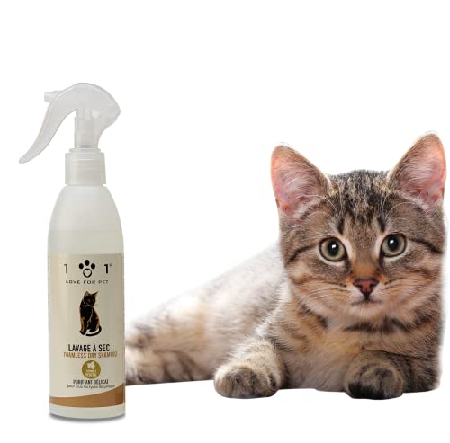Linea 101 Shampoing Sec Chat Naturel 250 ML sans Rinçage à Base de Plantes Toilettage du Chat Rapide, Shampoing Pelage Propre et Parfum Doux Made in Italy