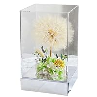 Amazon｜【フローラルフォーエバー】 プリザーブドフラワー ひまわり