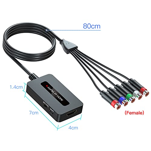 Kirolle Cavo Convertitore da Femmina Component a