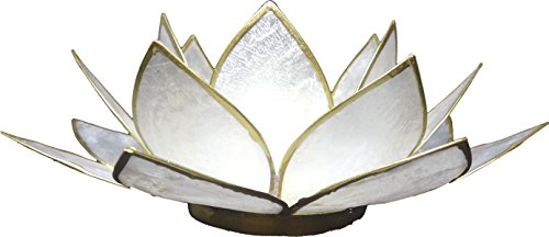 Trimontium tl12022g portacandela Madreperla