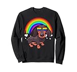 Photo Gallery dachshund rainbow occhiali da sole gay pride lgbt tshirt regali felpa Photo Gallery dachshund rainbow occhiali da sole gay pride lgbt tshirt regali felpa