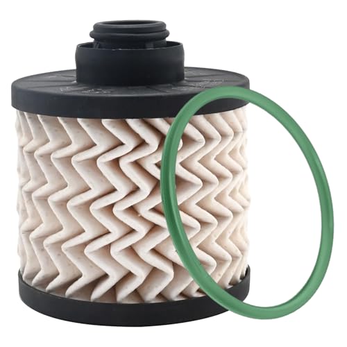 Hoypeyfiy 2171748 Diesel Fuel Filter with Seal Replacement for Ford Ford B-Max JK TDCi 2012-2023 Replacement for C-Max Mk2 2015-2019 Replacement for Ecosport 2013-2023, Replace DS7Q9D410AA