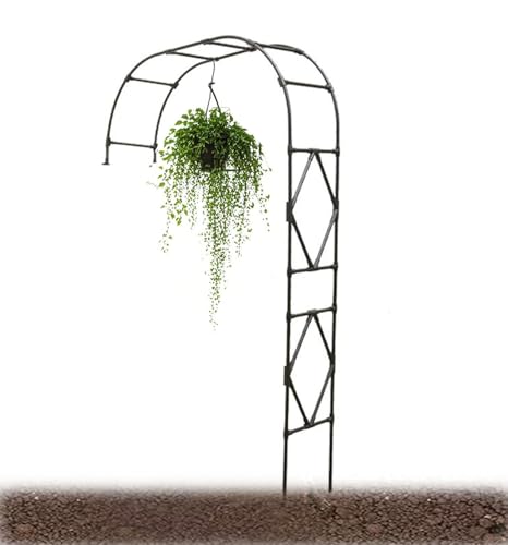 Arche de jardin demi-latérale et treillis en acier pour décoration extérieure