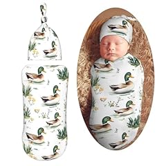 Cute Mallard Ducks Swimming