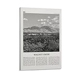 RAIDI Walnut Creek Print Black...