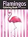 Produktbild Flamingos Coloring Book: Romantic Decorative Doodles and Realistic Sketches of These Tropical Birds