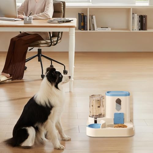 Distributeur automatique de nourriture chat pour réguler ses repas - 7