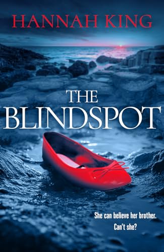 The Blindspot view 2