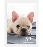 RUN HELIX A3 Picture Frames,Simple Designed Photo Frame,Certificate Document Frame for Horizontal...