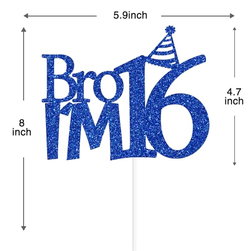 Happy 16th Birthday Cake Topper, Level 16 Unlocked Cake Decor, Bro I'm 16, Teens Funny 16th Birthda