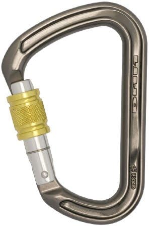 クロマニヨンズ ポスター 柴田理恵写真展 Lollapalooza Lollipop