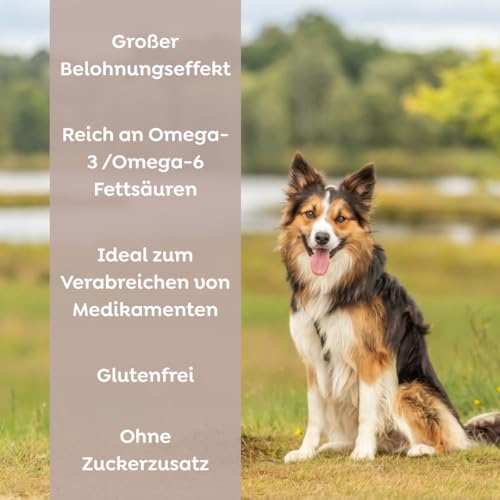 TRIXIE Hundeleckerli Leberwurst mit Hanf, streichzart – 75 g