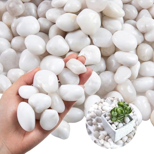 Image of 20lb White River Rock- High Polished Pebbles for Indoor Plants- Decorative Stones for Aquarium Fish Tank - White Rocks for Outdoor Garden Landscaping - 0.3 inch-0.8 inch