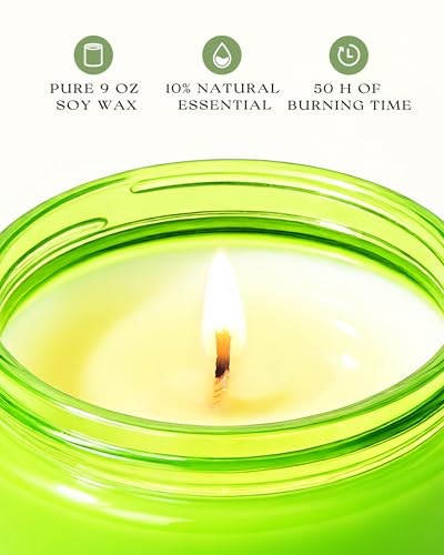Image of AOOVOO Green Apple Odor Eliminating Highly Fragranced Candle - Eliminates 95% of Pet, Smoke, Food, and Other Smells Quickly, Non Toxic Air Freshing Soy Candle, Up to 50 Hours Burn time