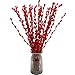 Lanmik 60 Stems 100% Real Plant 17.5 Inches Red Pussy Willow Flowers Pussy Willow Branches New Year's Eve Flowers Red Pussywillows for China Spring Festival New Year's Greetings Home Decor NO VASE