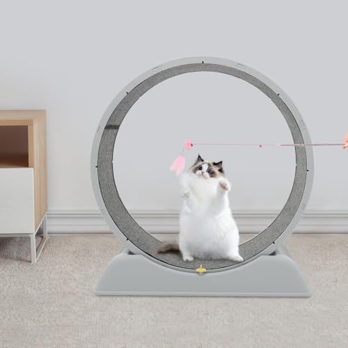 DAHAD Bicicleta para gatos domésticos, cinta de correr para gatos, con alfombra extraíble y pesca para gatos, resistente a los arañazos, estable y silenciosa, adecuada para la mayoría de los gatos de - imagen 4