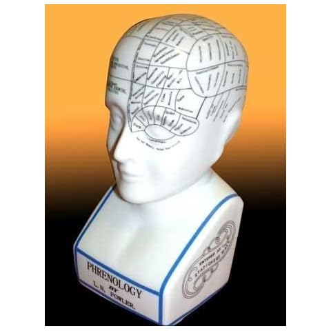 12 Ceramic Phrenology Head by AcaciaHome Cover