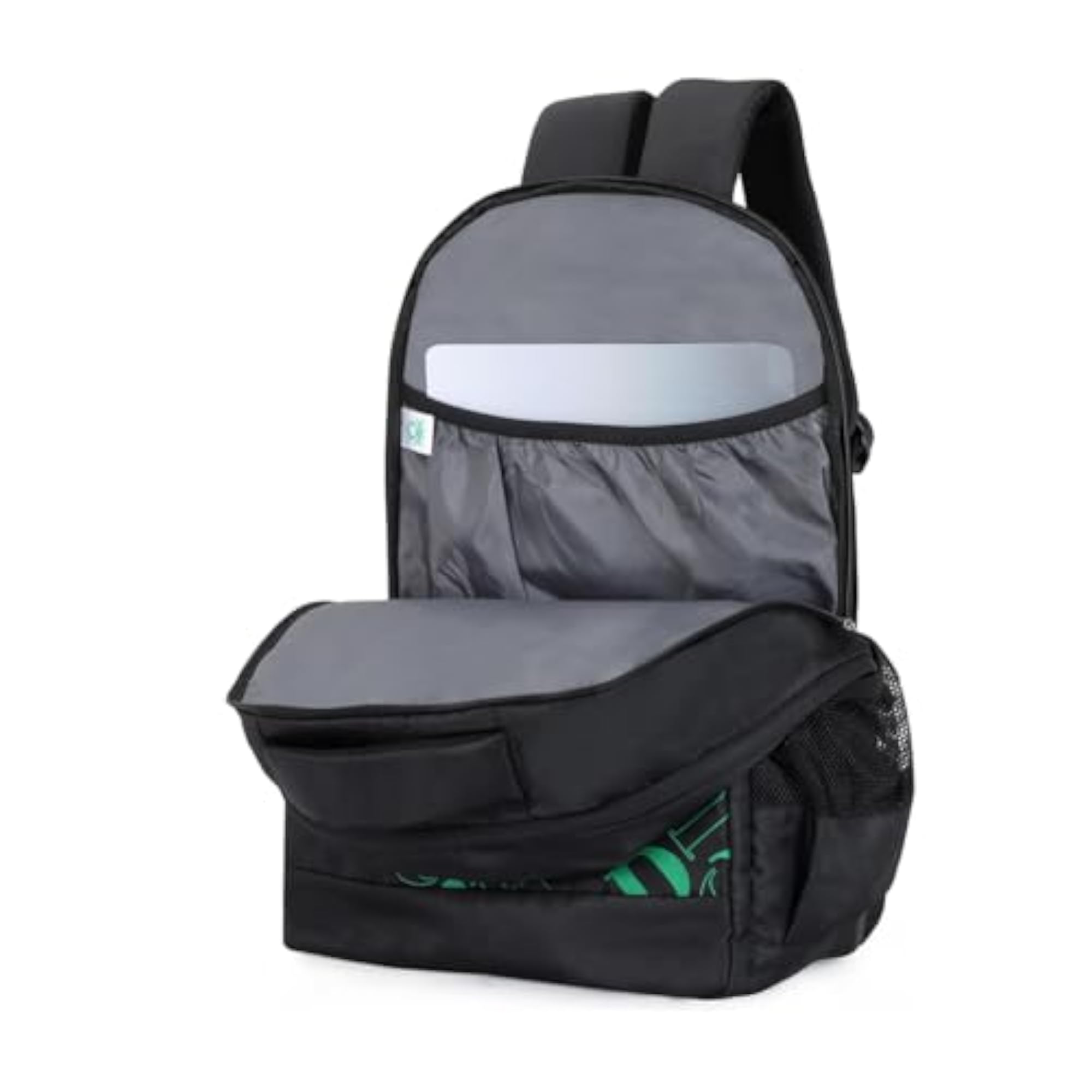 Ballad 21L Polyester Casual 2 Compartment Backpack for Unisex