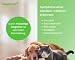 simple Vet Giardien Schnelltest Hund - 2 Tests - Katze Wurmtest Hund Giardien Test Durchfall Hund & Katze, Erste Hilfe Set Hund