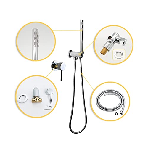 Ensemble de douche à main ronde finie en chrome brillant de haute qualité