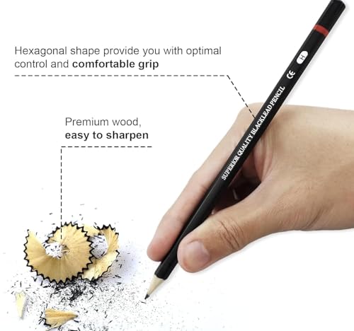 Image of PAXCOO Set of 12 Pcs Professional Drawing Sketching Pencil Drawing Art Pencils Graphite Shading Pencils for Beginners & Pro Artists Professional Sketch,Suitable for Art Design, Shading, Adults & Kid