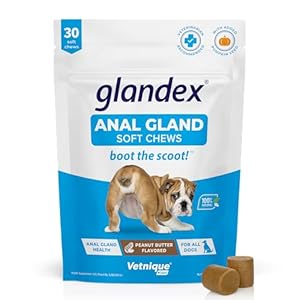 Glandex Fibre Supplements Dog Soft Chews with Pumpkin for Dogs, Digestive Enzyme & Probiotic – Vet Recommended to Boot the Scoot (30ct Chew)