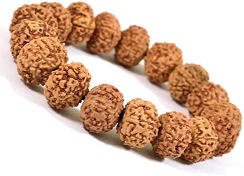 REBUY 10 Mukhi Rudraksha Bracelet Original Certified for Men and Women (Brown)