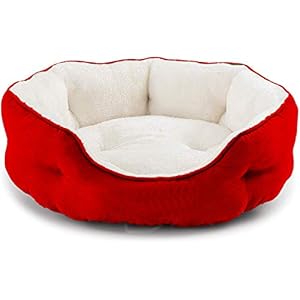 PAWSOME Round Cat Bed for Indoor Cats Clearance Washable Dog Bed for Puppy and Kitties with Slip-Resistant Bottom, Plush Flannel Pet Supplies Small Red